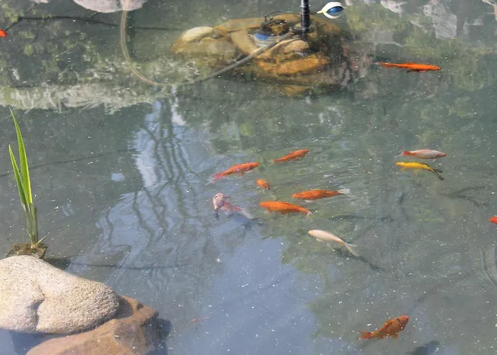 Siklawa Alojamento de Acomodação e Pequeno-almoço